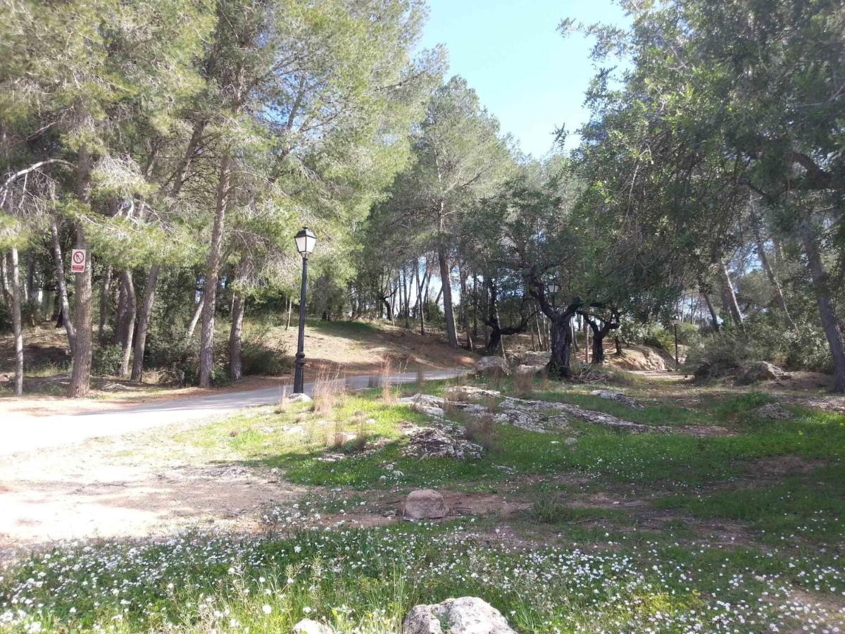 Villa Conchin Casa Junto A Parque Natural Alberic Dış mekan fotoğraf
