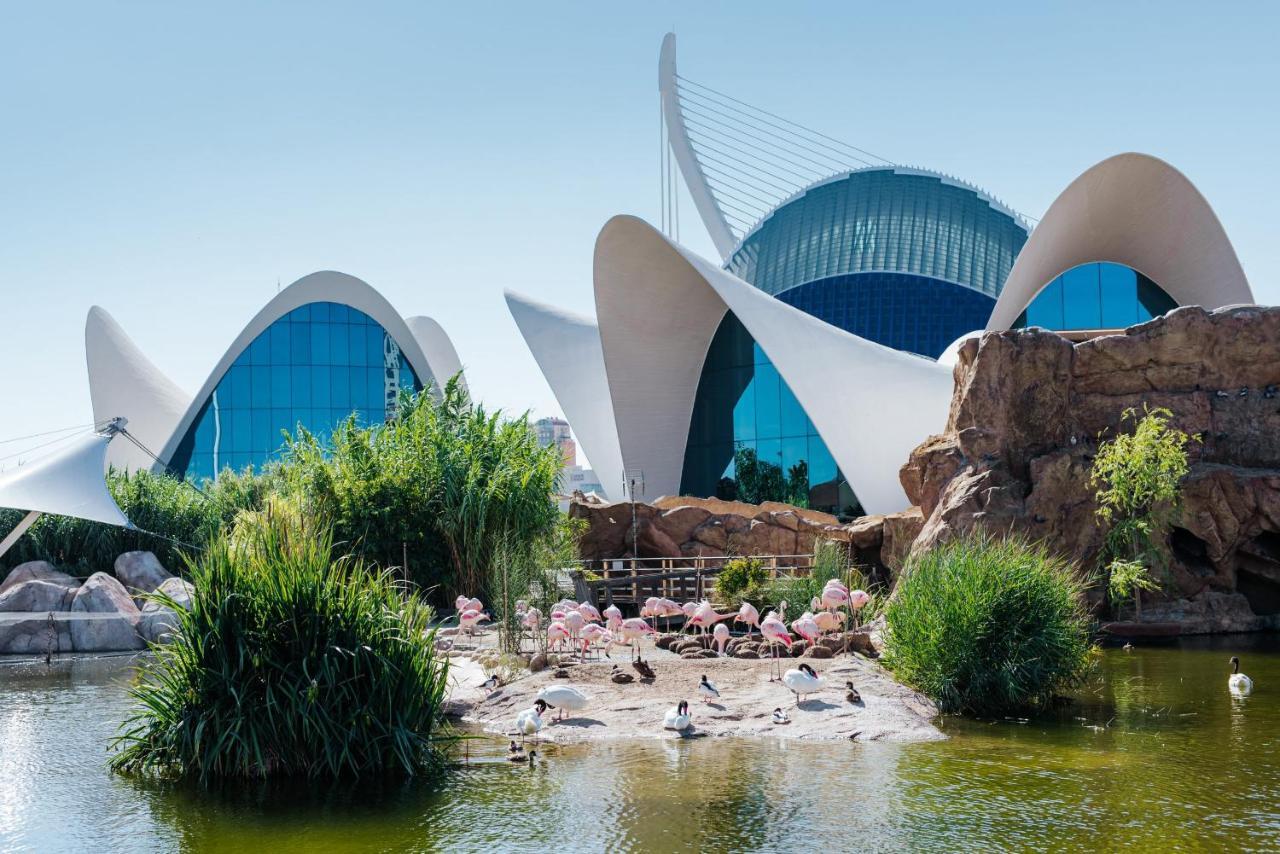 Villa Conchin Casa Junto A Parque Natural Alberic Dış mekan fotoğraf
